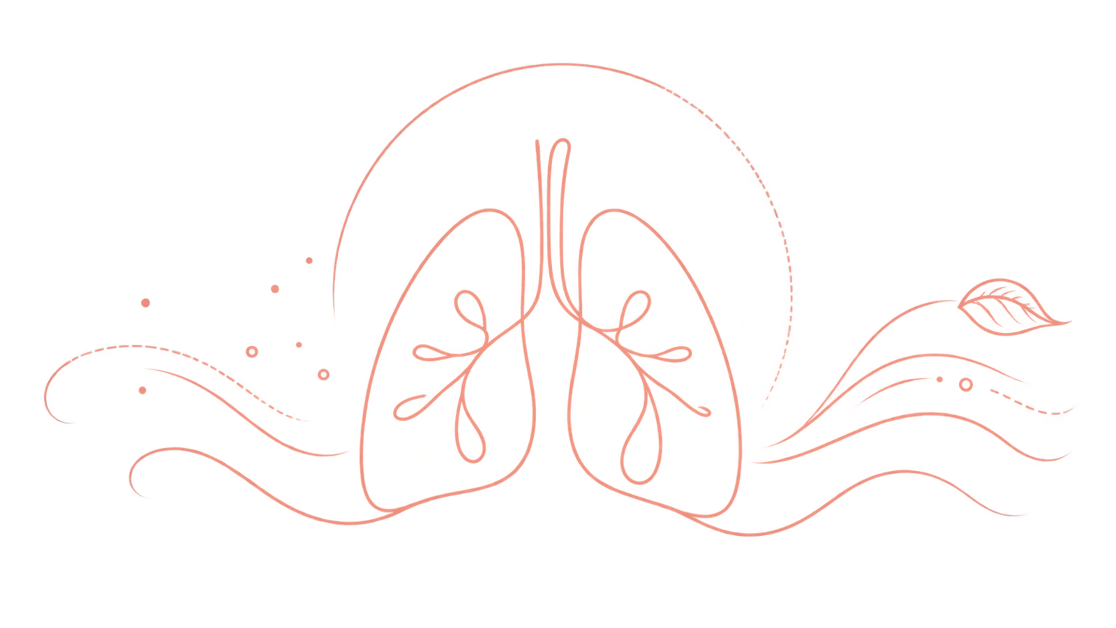 Schematische Darstellung der Lunge und der Atemwege