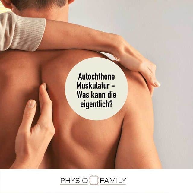autochthone muskulatur